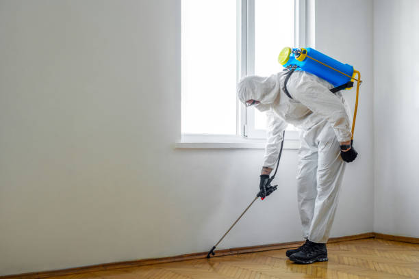 Emergency Pest Control in Emporia, KS